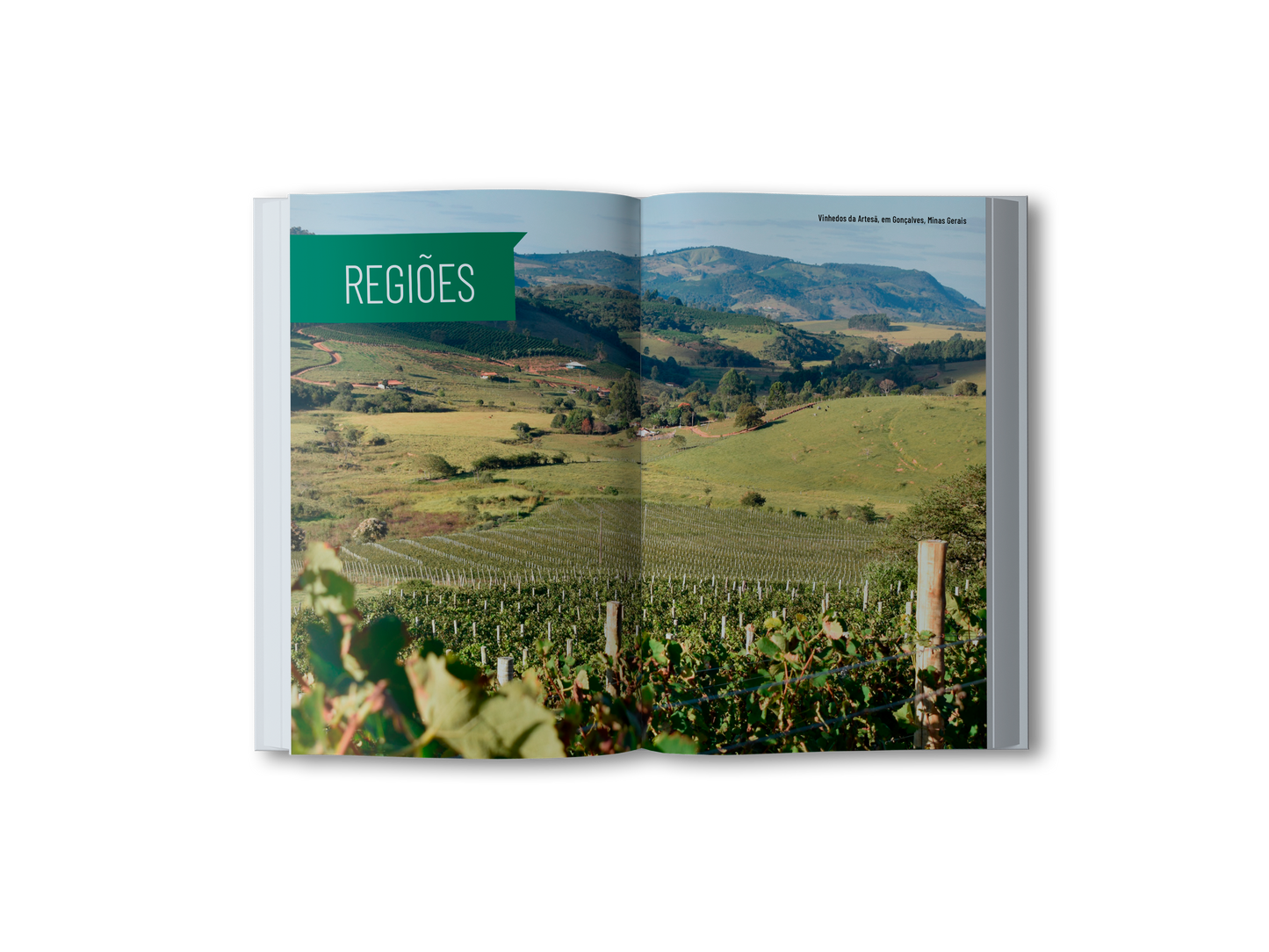 ADEGA Brasil Guia de Vinhos 2026