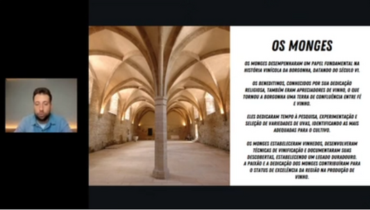 Borgonha com AnimaVinum