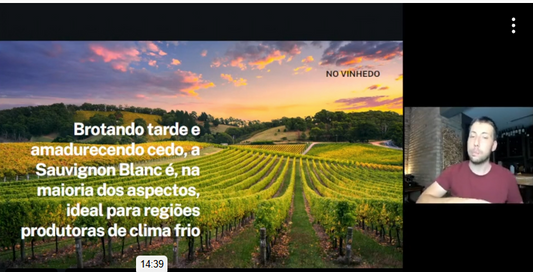 Aula Sauvignon Blanc