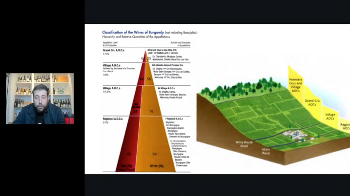 Aula Cote de Beaune - Brancos