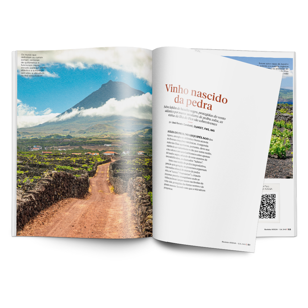 Assinatura Revista ADEGA Impressa - 1 ano