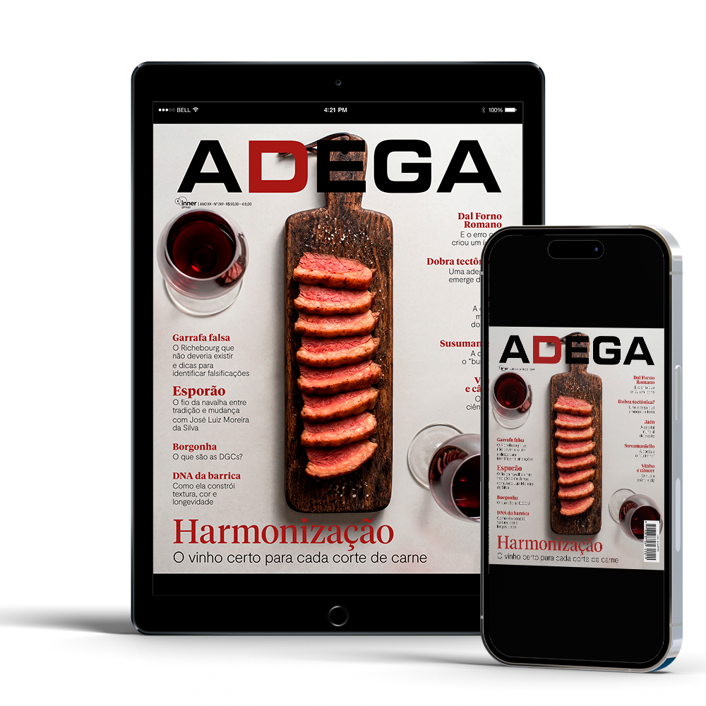 Revista ADEGA Digital - 1 Ano